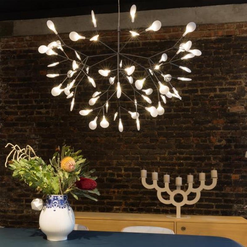 Heracleum Chandelier